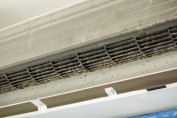 Best Affordable HVAC Duct Cleaning  in Central City, NE